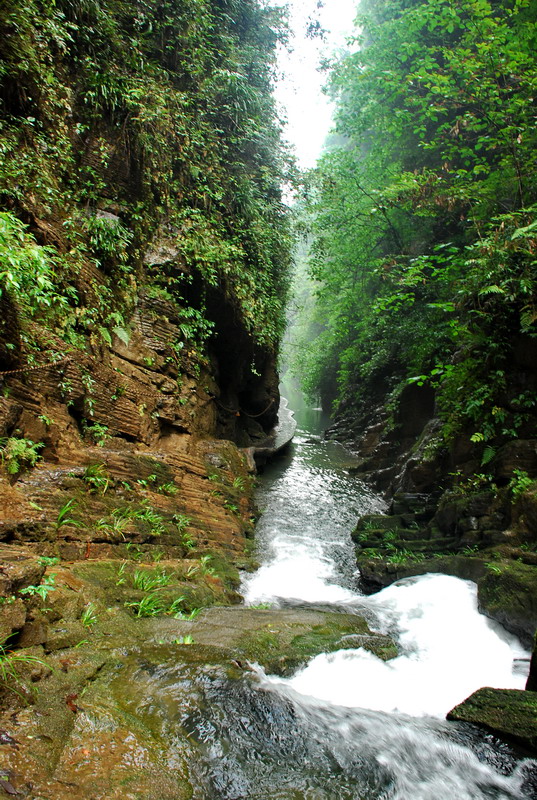dsc_2084.jpg