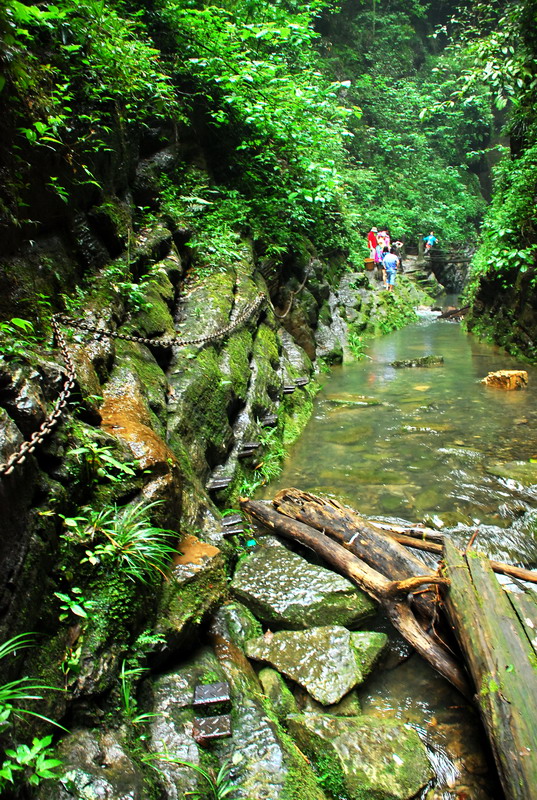 dsc_2169.jpg
