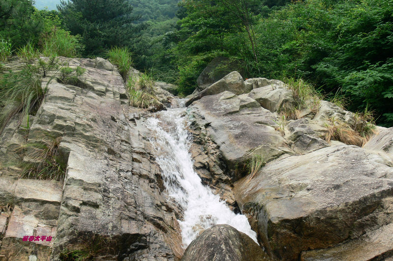 p1270521.jpg