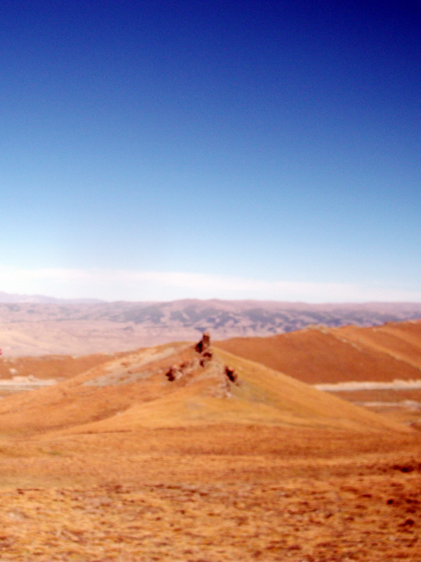 dscf0363.jpg
