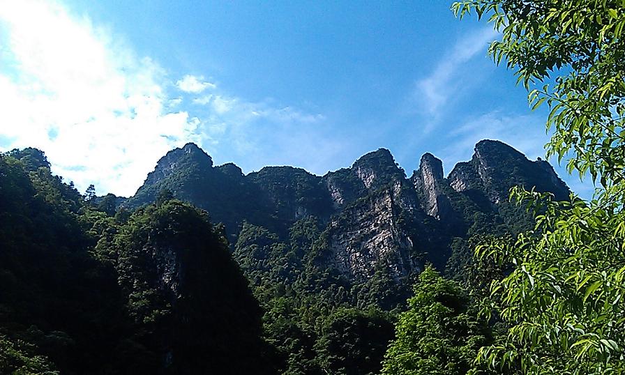 imag0678.jpg