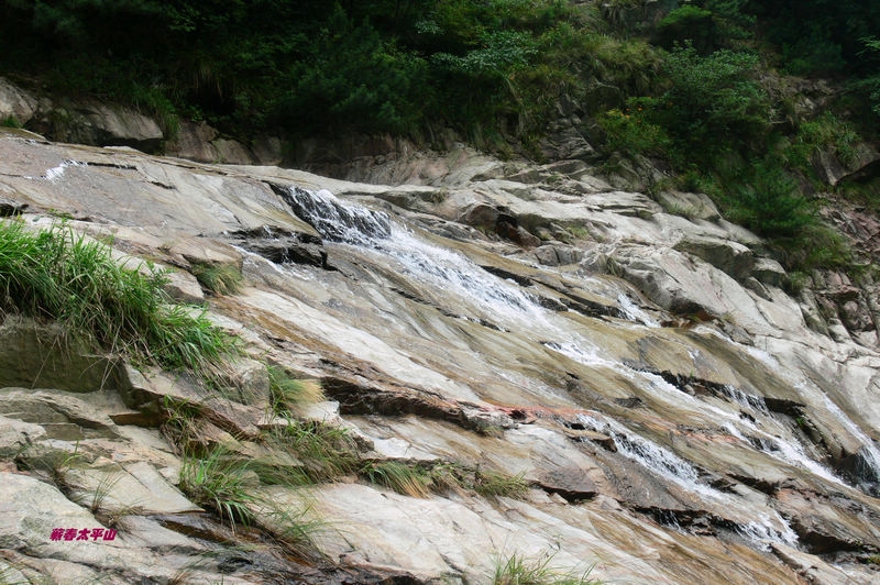 p1270551.jpg
