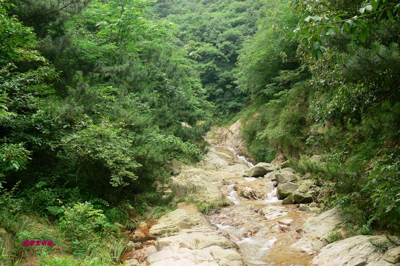 p1270545.jpg