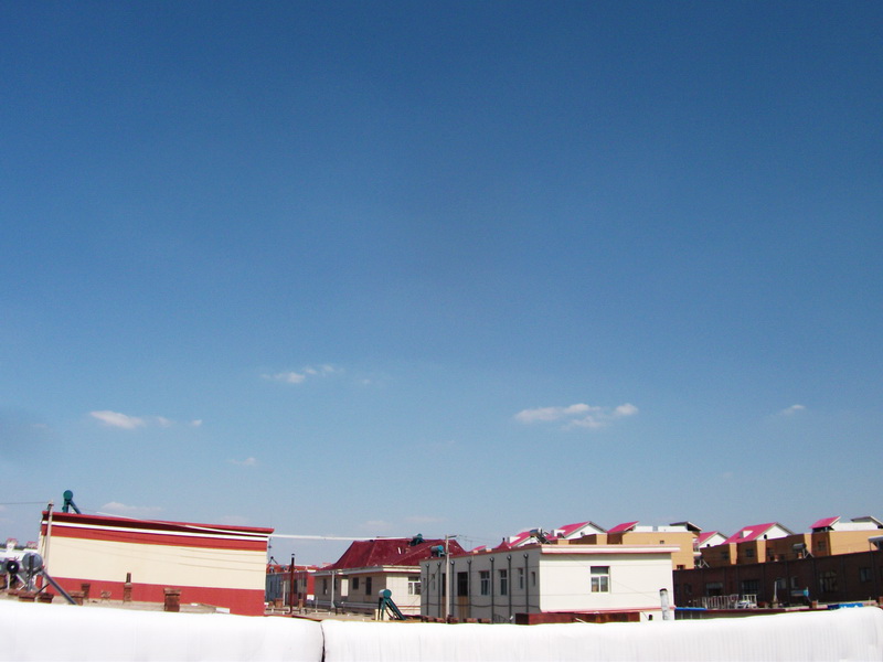 dscf0208.jpg