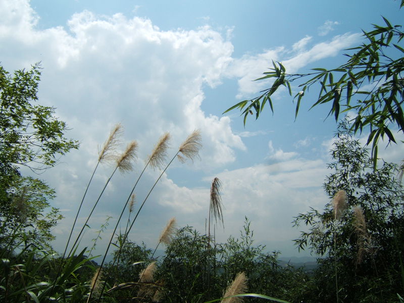 dscf2392_.jpg