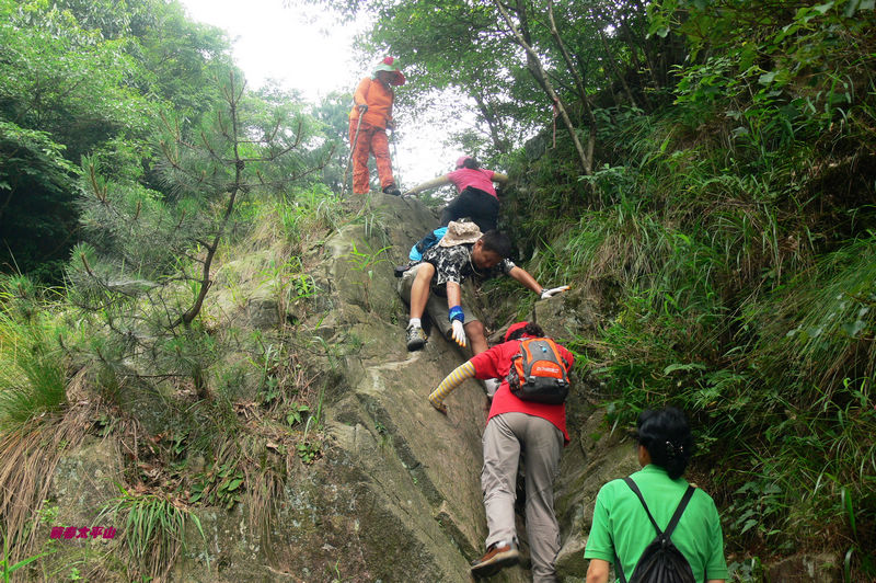 p1270576.jpg