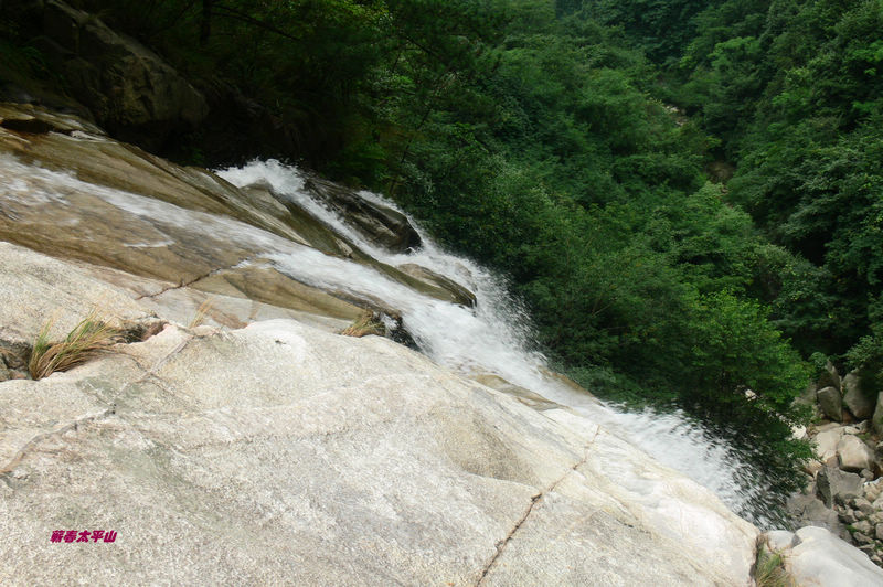 p1270562.jpg