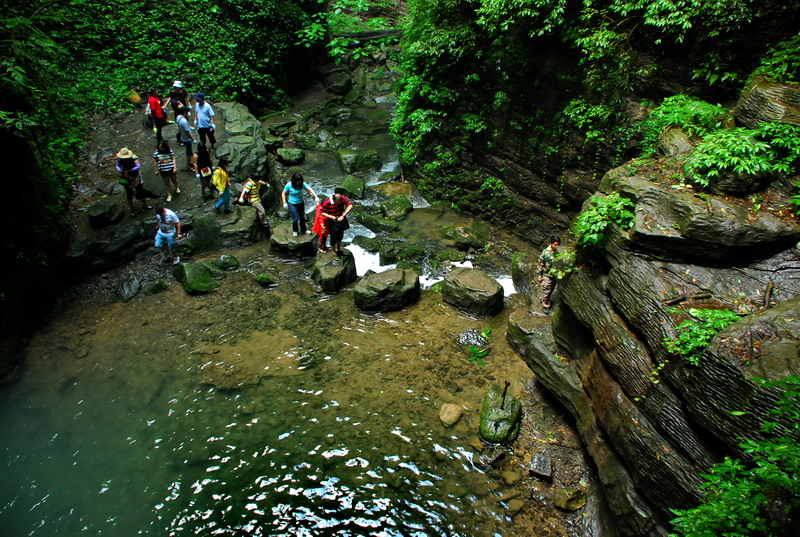 dsc_2387.jpg