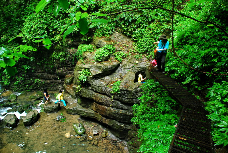dsc_2390.jpg