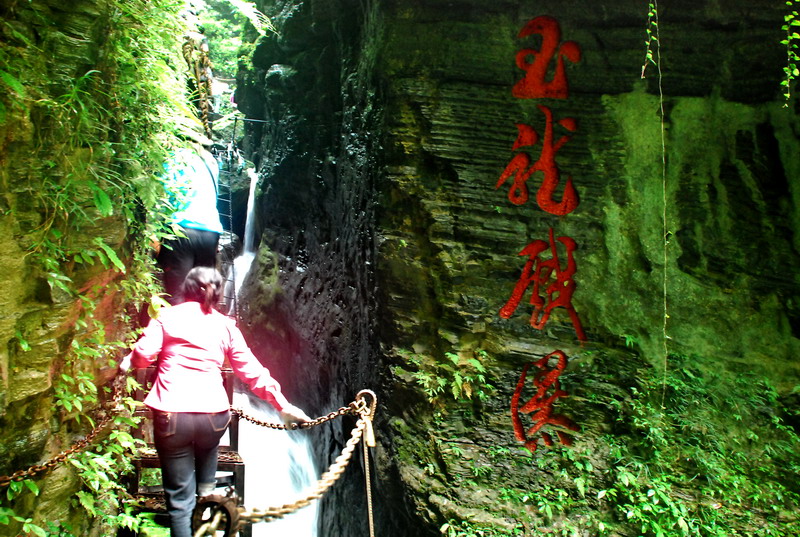 dsc_2395.jpg
