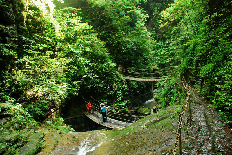 dsc_2404.jpg