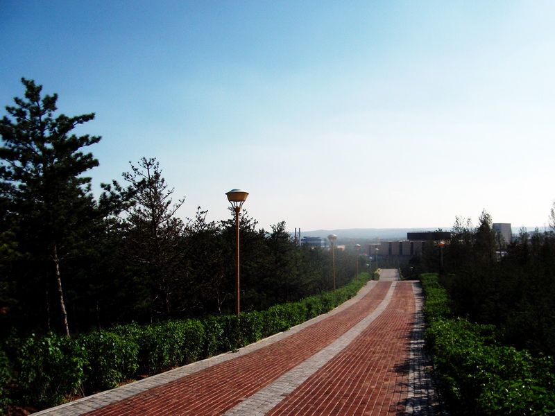 dscf0316.jpg