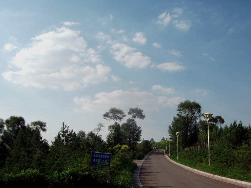 dscf0321.jpg