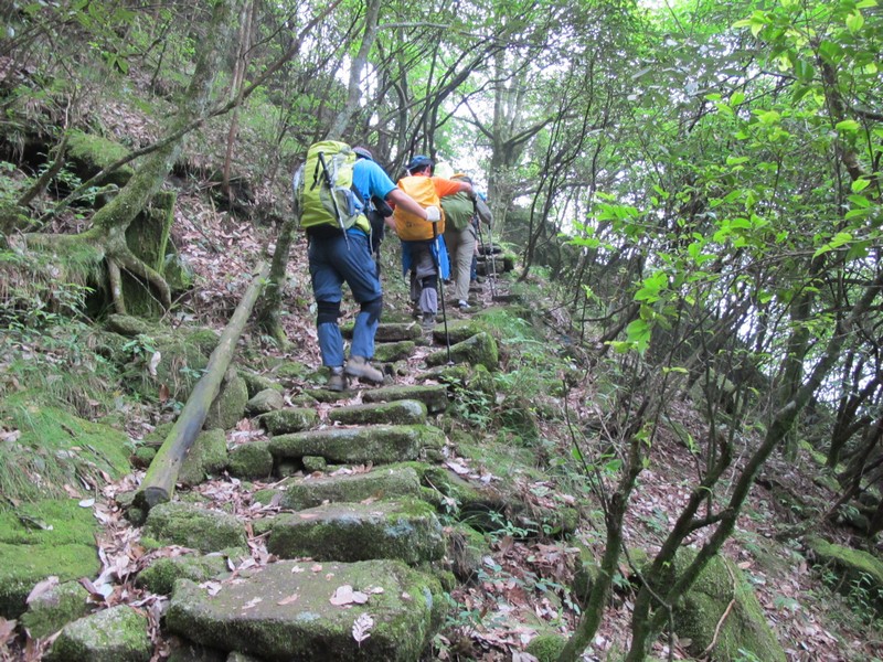 simg_0832.jpg