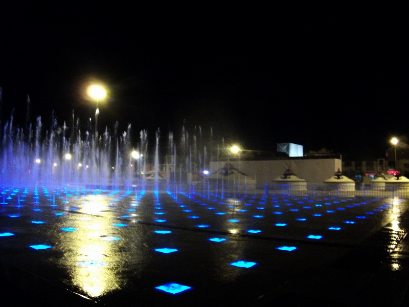 dscf0395.jpg