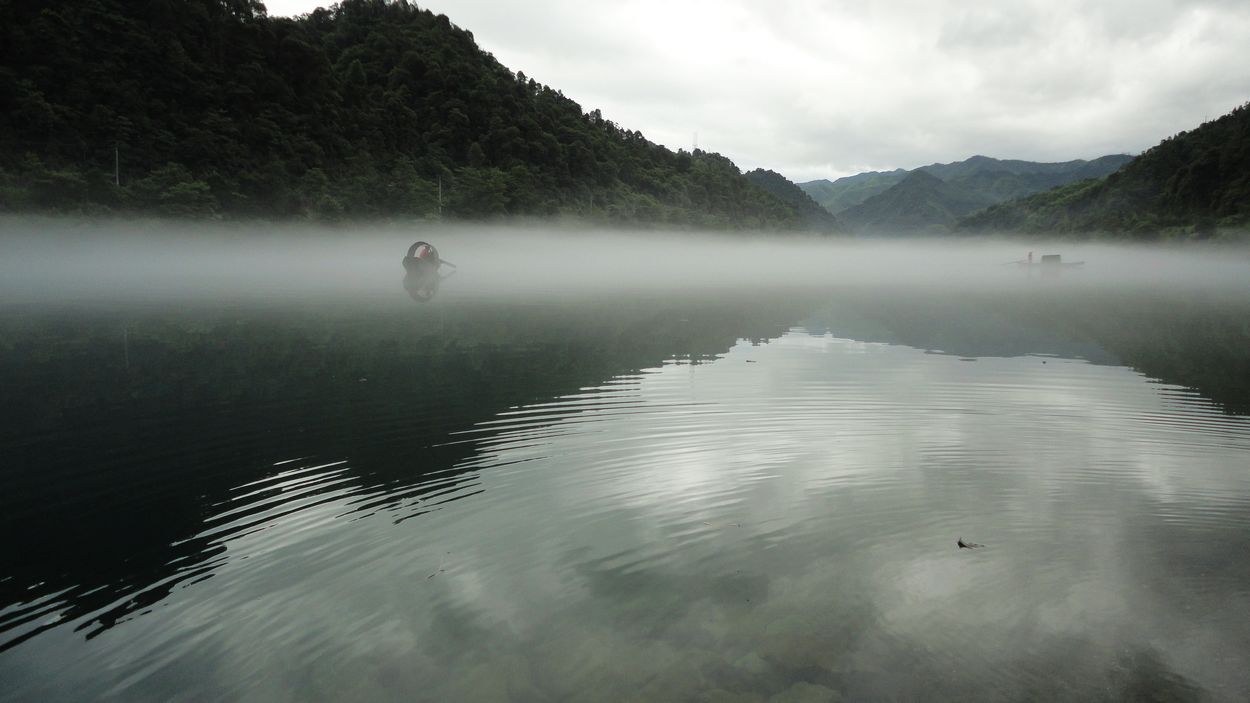 neo_img_dsc04747.jpg