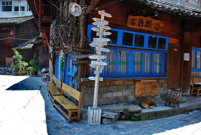dsc_2709.jpg