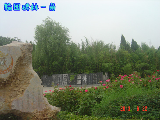 dsc09833_.jpg