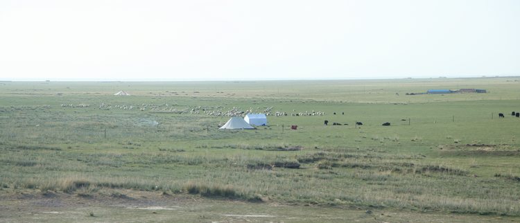 img_3612.jpg