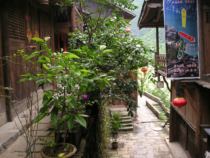 p1010022.jpg