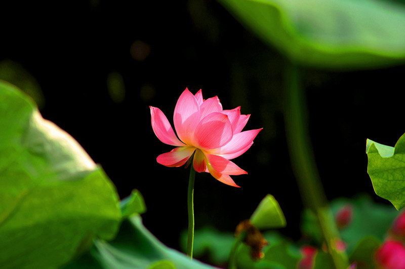 dsc03312_副本.jpg