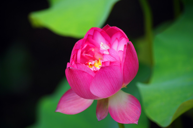 dsc03428_副本.jpg