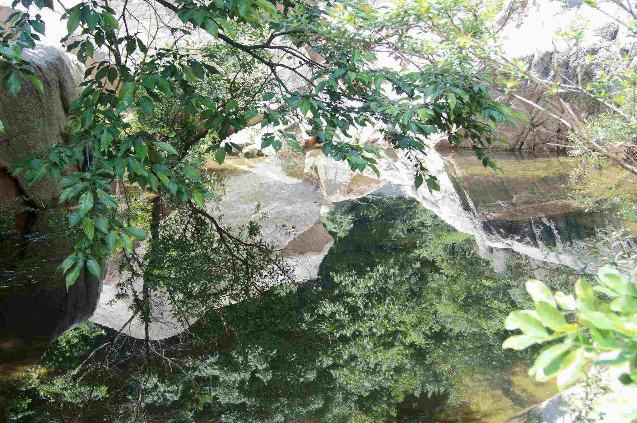 dsc06501.jpg