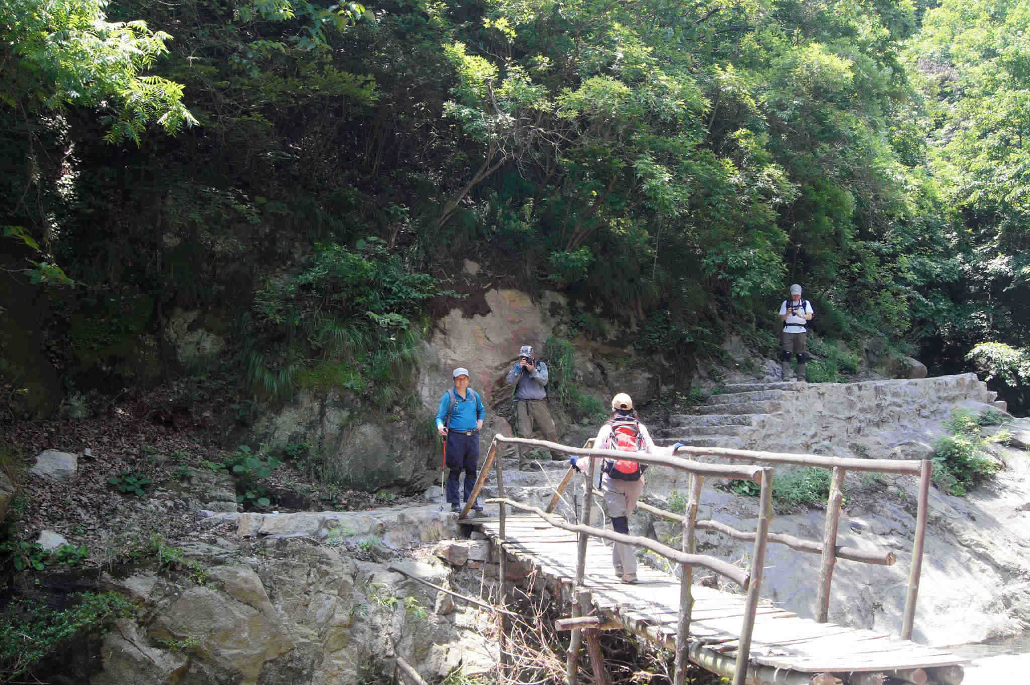 dsc06508.jpg