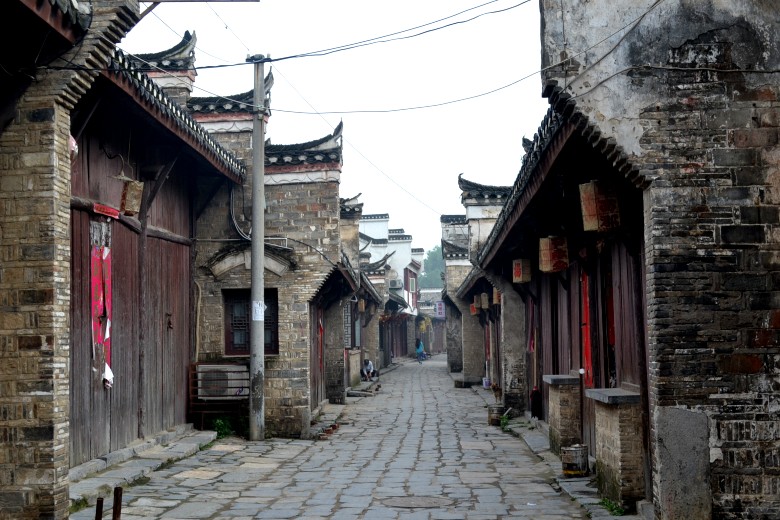 dsc_0174_conew1.jpg