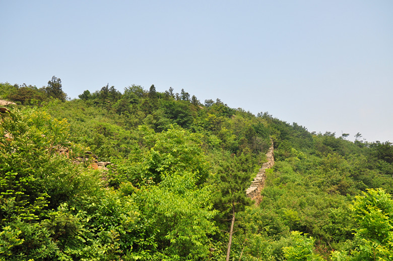 dsc_0718_.jpg