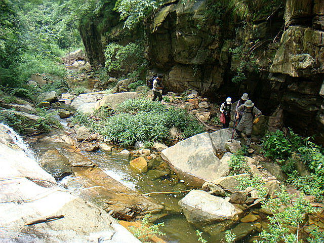 dsc07528.jpg