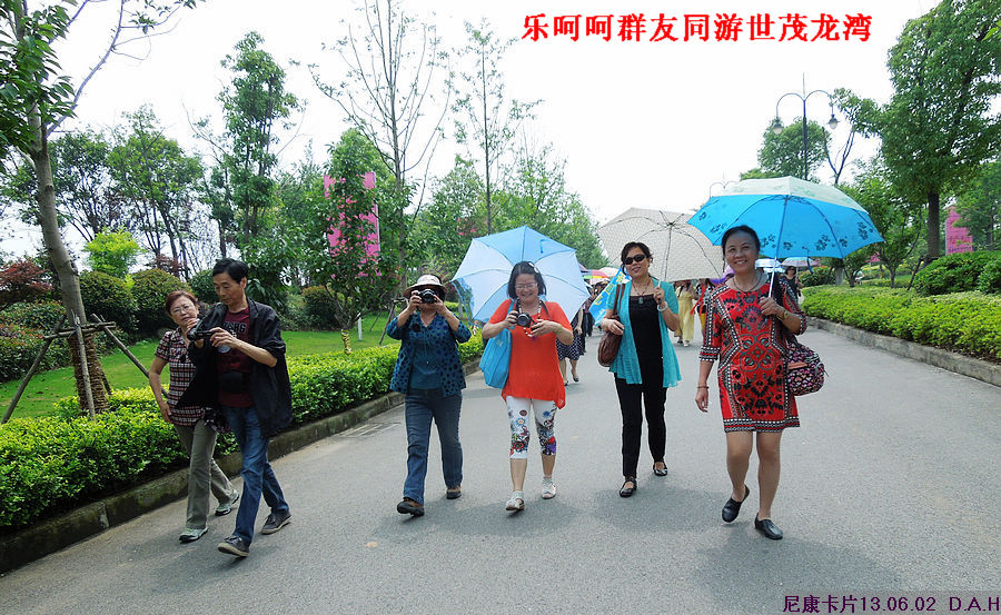 dscn9733.jpg