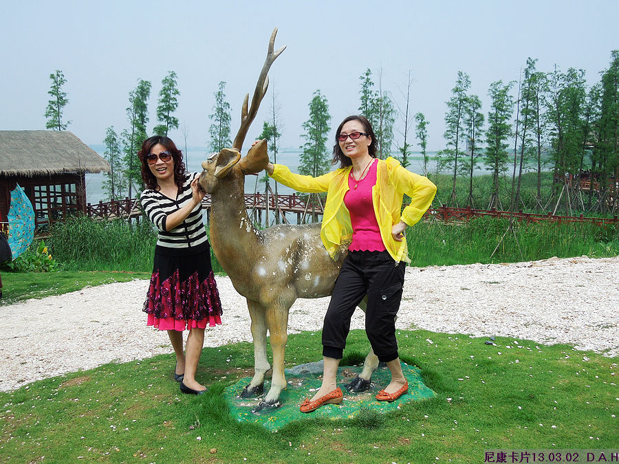 dscn9775.jpg