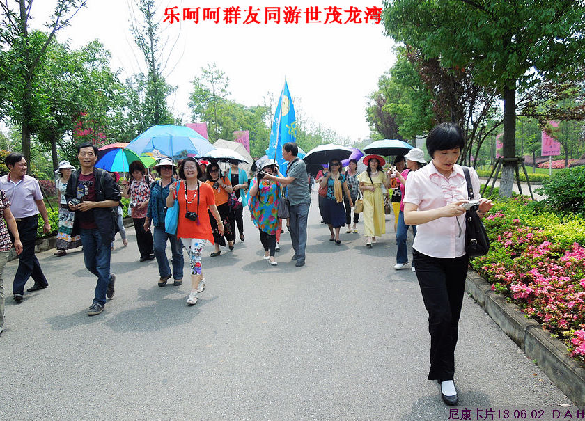 dscn9729.jpg