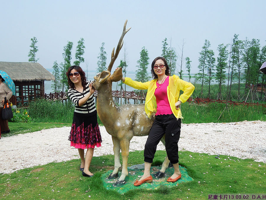 dscn9774.jpg