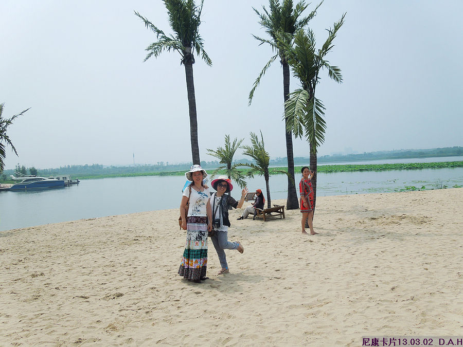 dscn9790.jpg