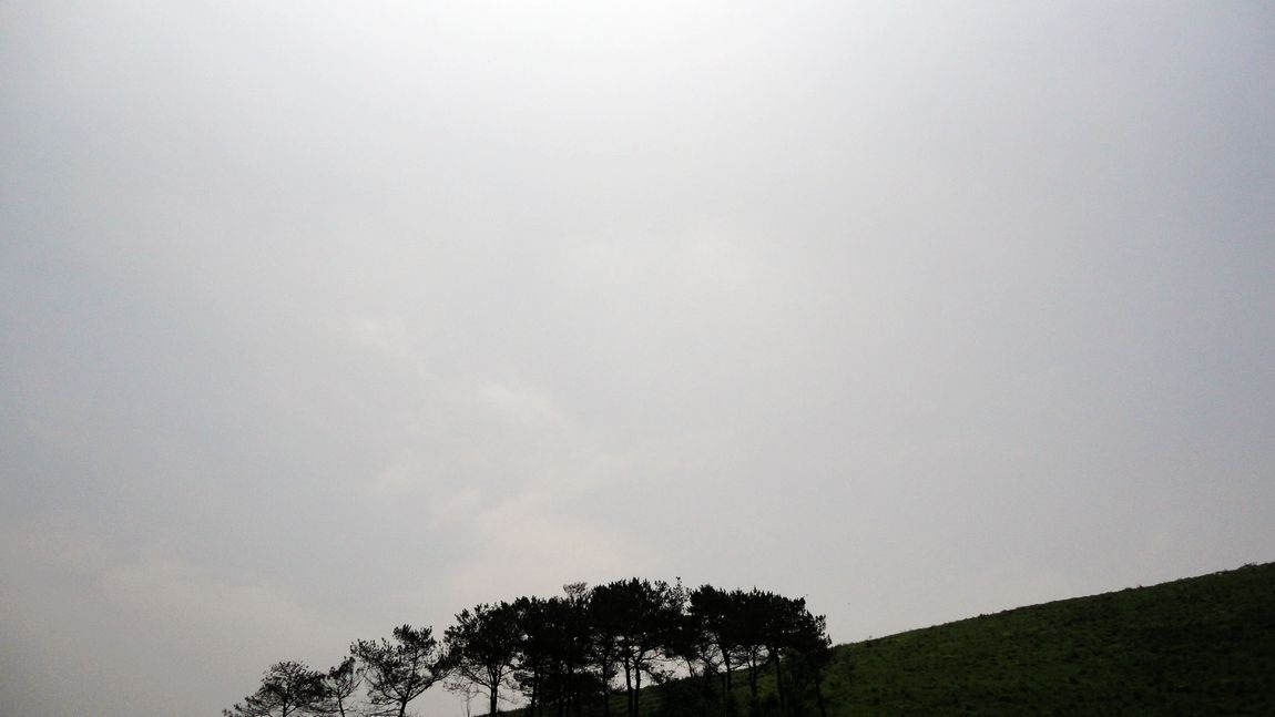neo_img_dsc04075.jpg