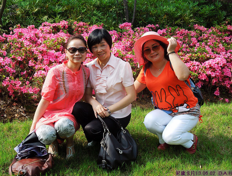 dscn9912.jpg