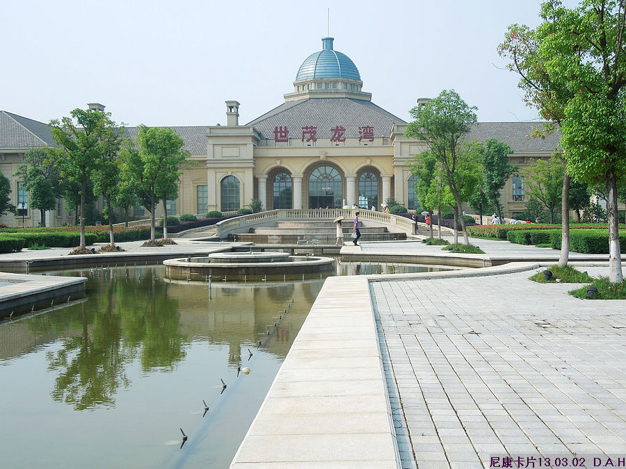 dscn9905.jpg