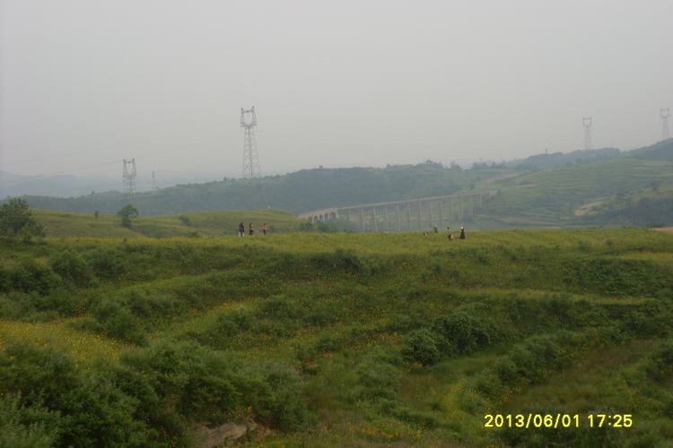 006.jpg