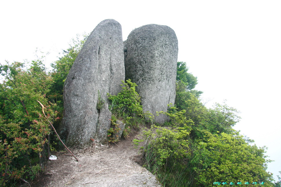 209.jpg