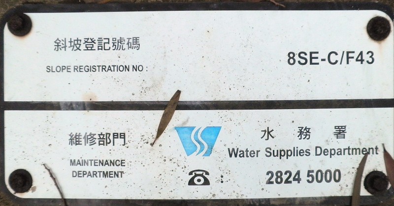 麦41.jpg