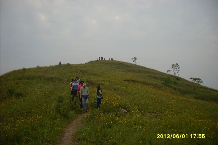 sl383780.jpg