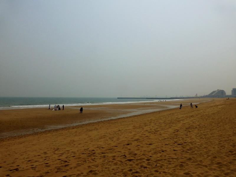 p1060154.jpg