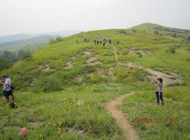 qqͼƬ20130602185724.jpg