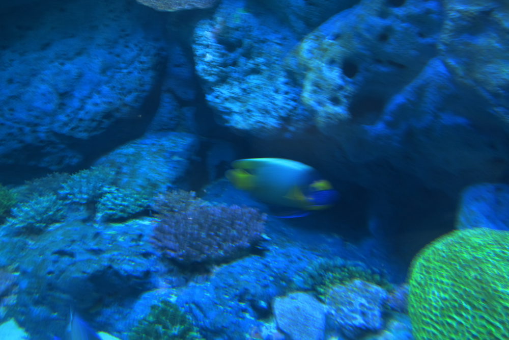 img_3407_.jpg