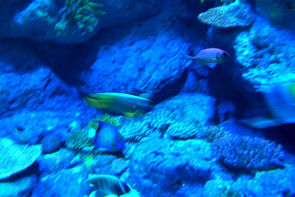 img_3410_.jpg