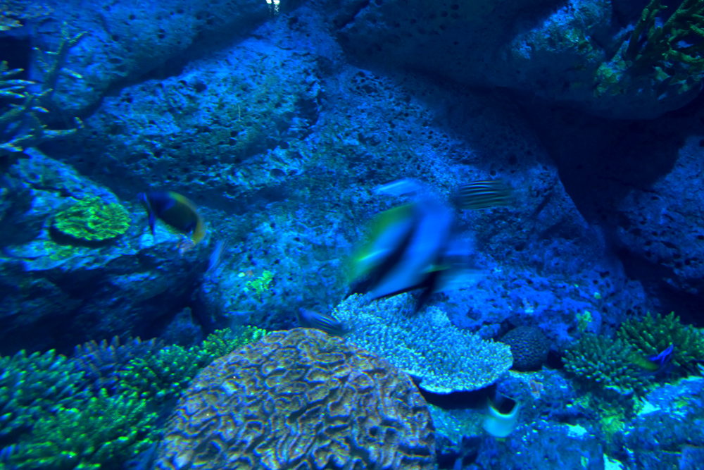 img_3415_.jpg