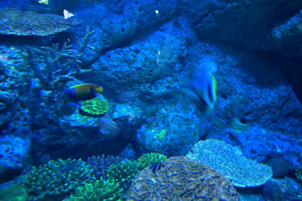 img_3416_.jpg
