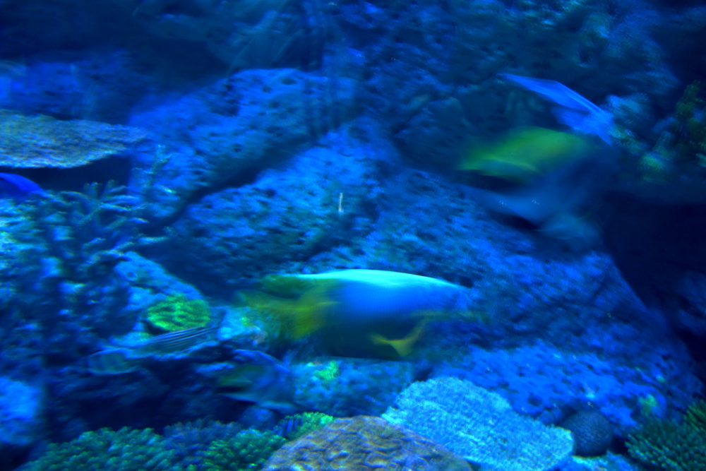 img_3418_.jpg